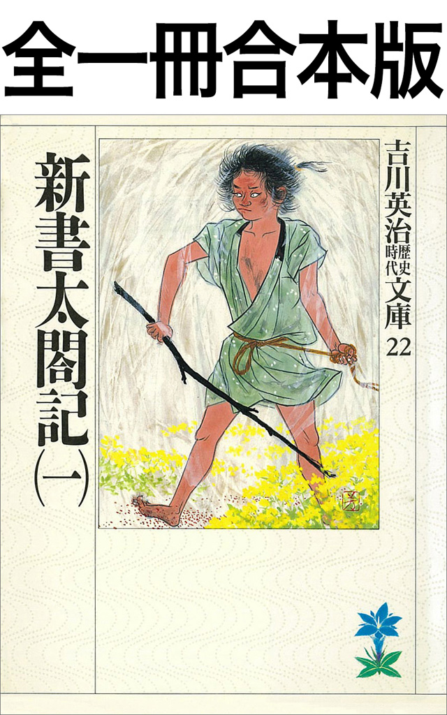 新書太閤記全一冊合本版