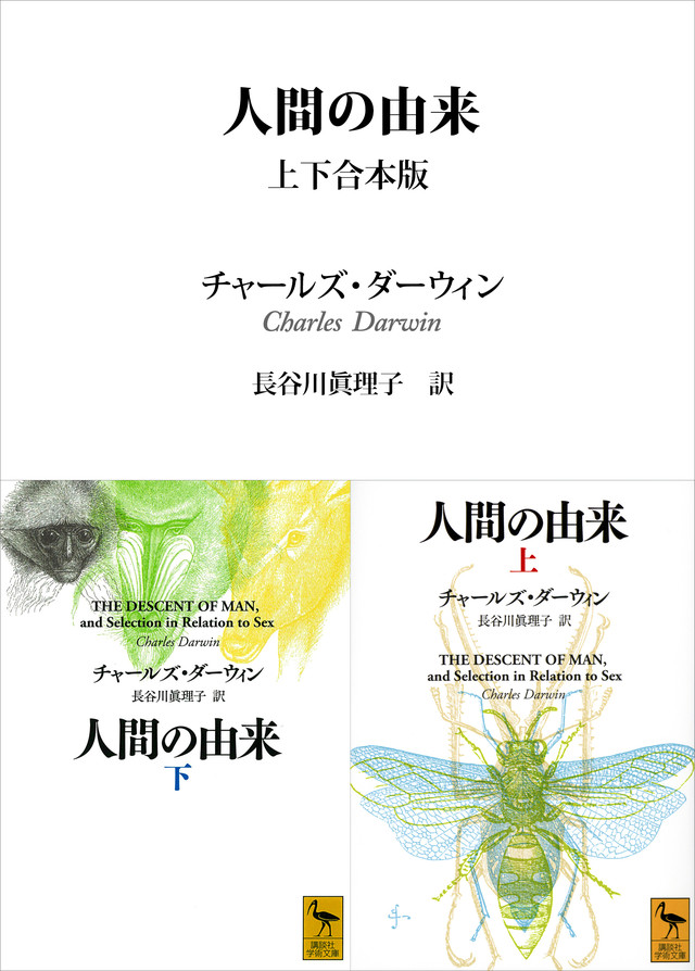 人間の由来
