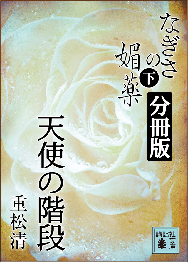 なぎさの媚薬 分冊版 天使の階段