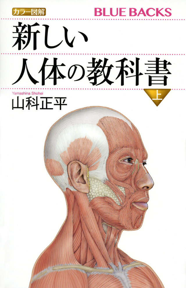 新しい人体の教科書