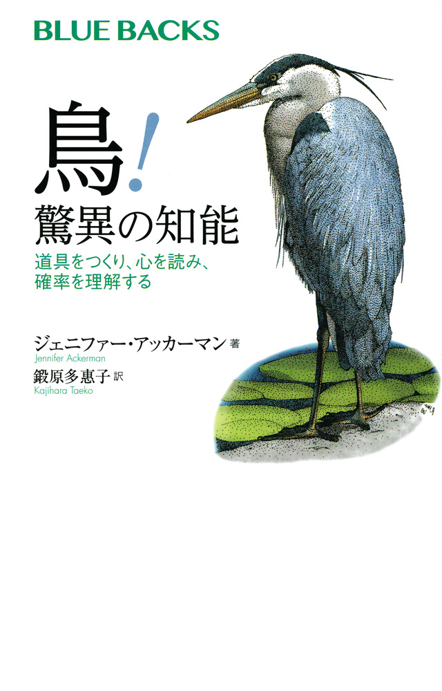 鳥! 驚異の知能