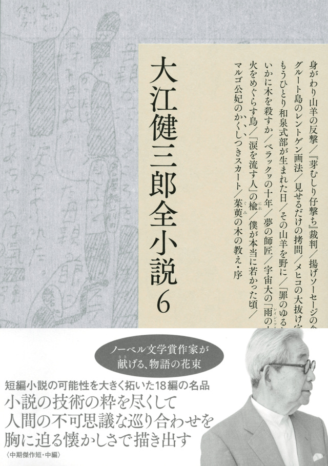 大江健三郎全小説 第6巻