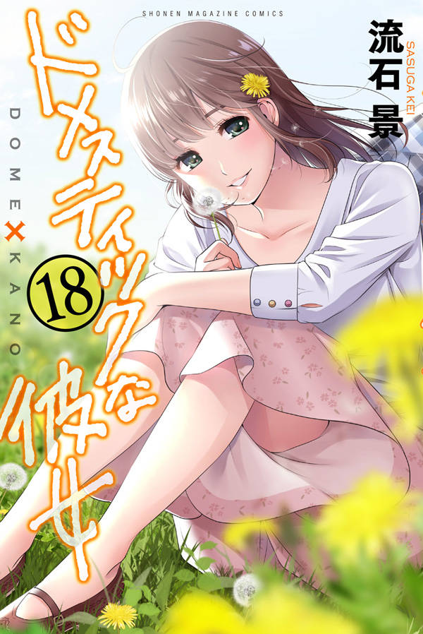 ドメスティックな彼女(18)