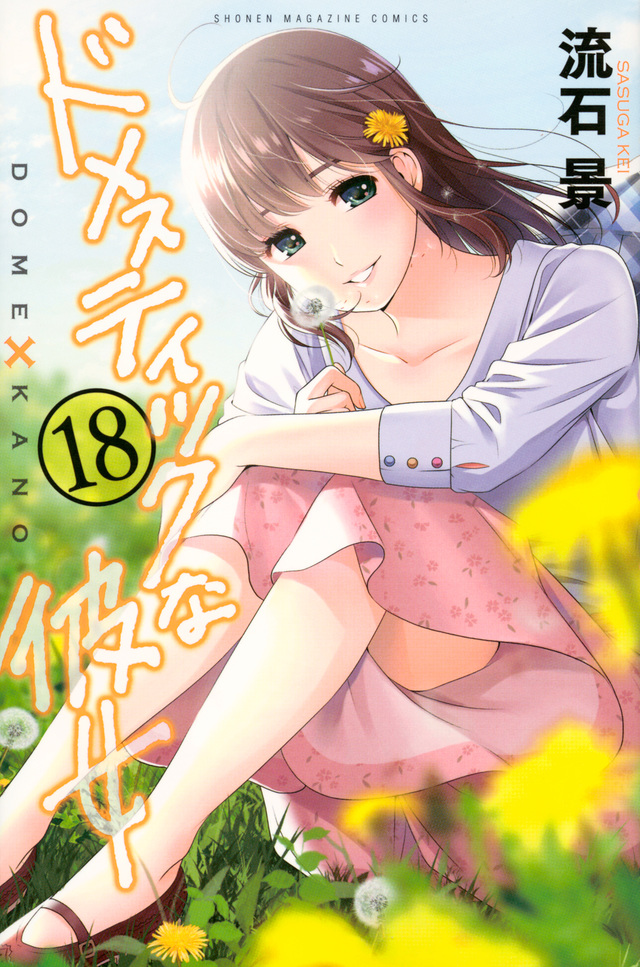 ドメスティックな彼女(18)