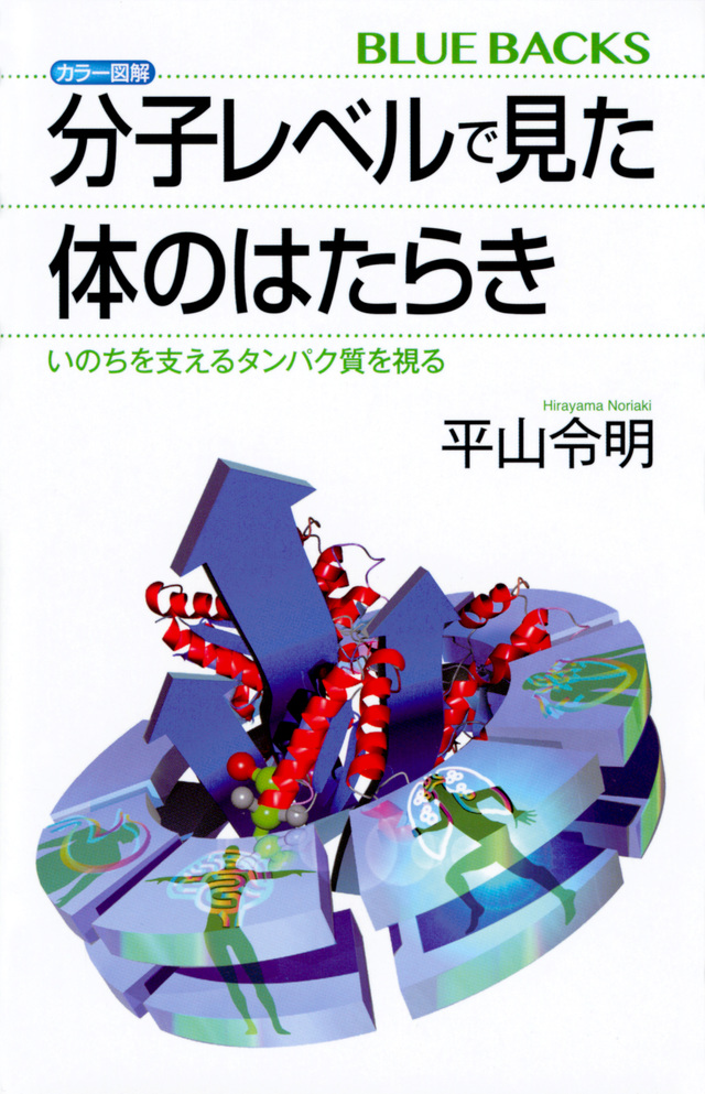 分子レベルで見た体のはたらき