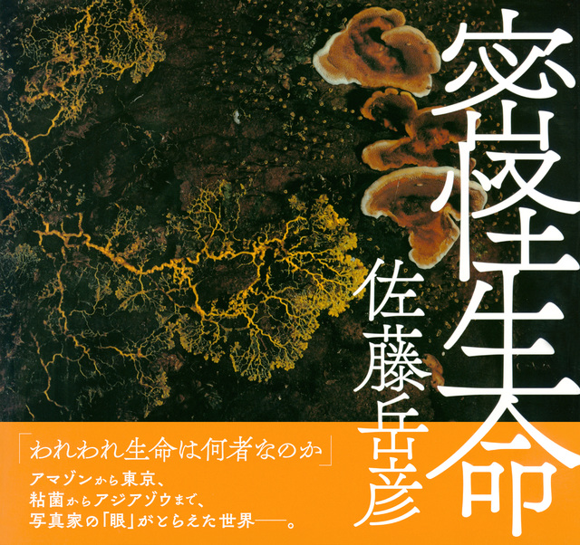 密怪生命