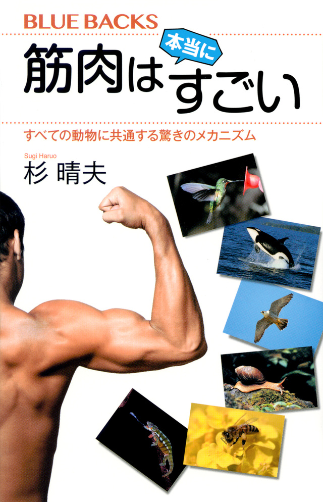 筋肉は本当にすごい