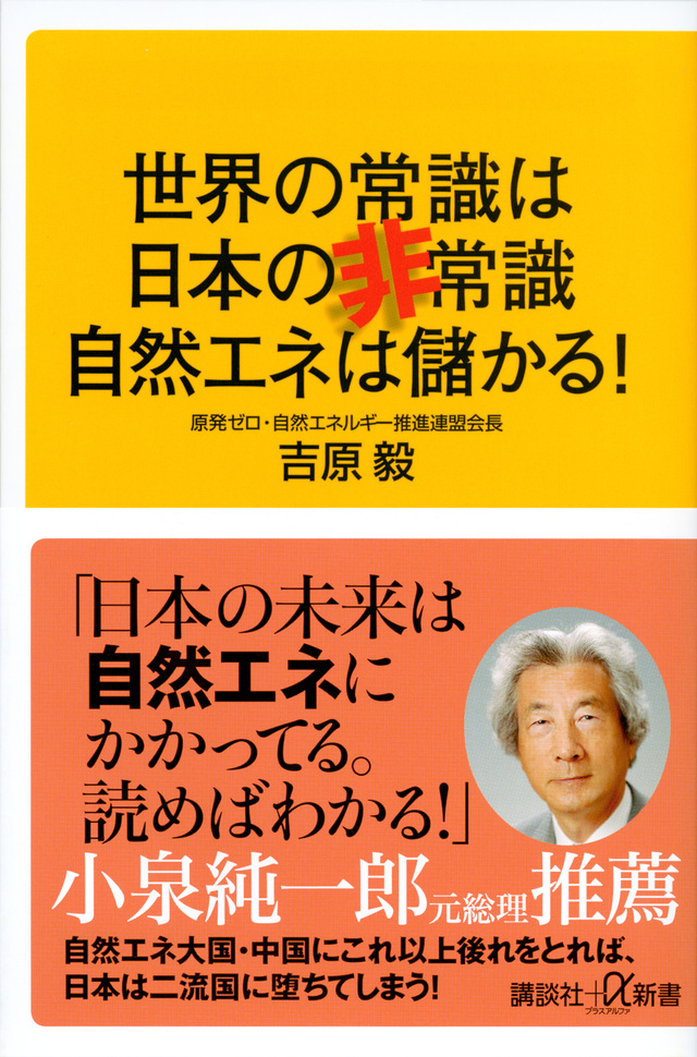 世界の常識は日本の非常識 自然エネは儲かる!