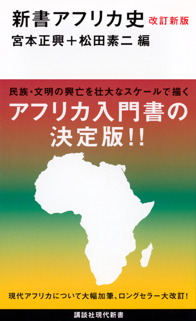 新書アフリカ史