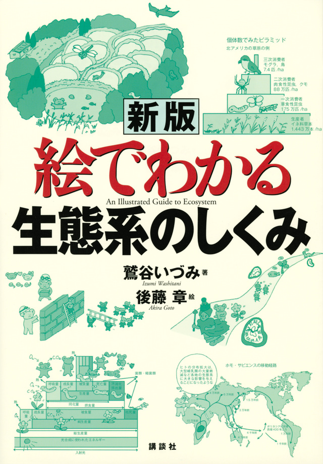 新版 絵でわかる生態系のしくみ