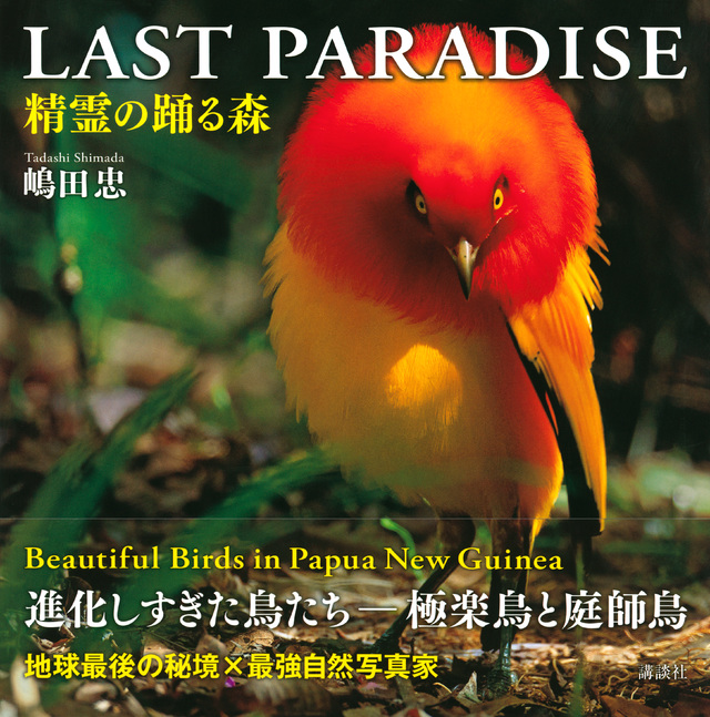 LAST PARADISE 精霊の踊る森