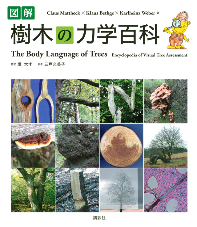 図解 樹木の力学百科