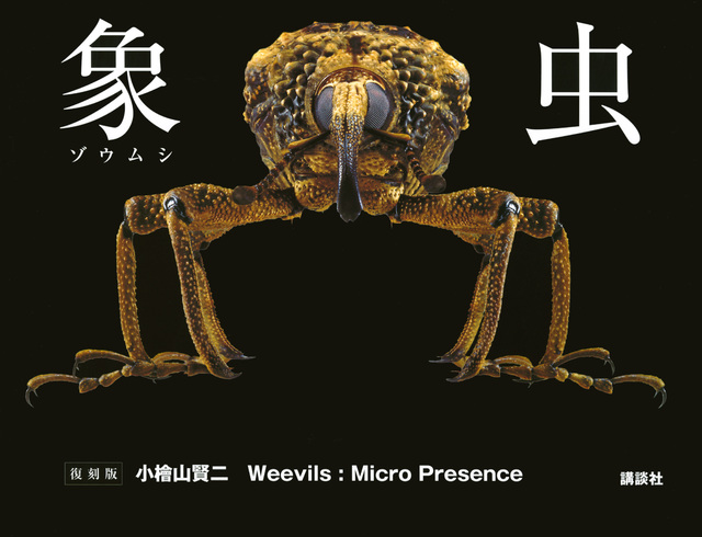 象虫 Weevils:Micro Presence 復刻版